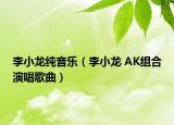 李小龙纯音乐（李小龙 AK组合演唱歌曲）