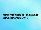 南京信用再担保集团（南京市再保科技小额贷款有限公司）