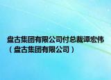 盘古集团有限公司付总裁谭宏伟（盘古集团有限公司）