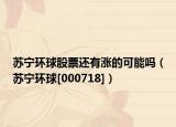 苏宁环球股票还有涨的可能吗（苏宁环球[000718]）