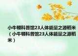 小牛顿科普馆23人体能量之源稻米（小牛顿科普馆23人体能量之源稻米）