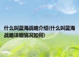 什么叫蓝海战略介绍(什么叫蓝海战略详细情况如何)