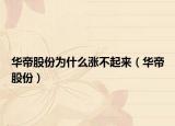华帝股份为什么涨不起来（华帝股份）
