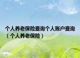 个人养老保险查询个人账户查询（个人养老保险）