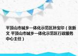 平顶山市城乡一体化示范区孙宝印（张新文 平顶山市城乡一体化示范区行政服务中心主任）