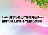 bobo抽水马桶工作原理介绍(bobo抽水马桶工作原理详细情况如何)