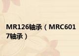 MR126轴承（MRC6017轴承）