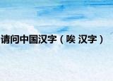 请问中国汉字（唉 汉字）