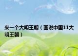 来一个大明王朝（画说中国11大明王朝）