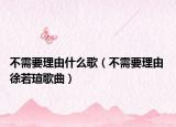不需要理由什么歌（不需要理由 徐若瑄歌曲）