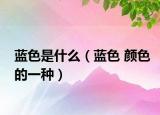 蓝色是什么（蓝色 颜色的一种）