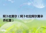 阿卜杜努尔（阿卜杜拉阿尔莫辛乔杜里）