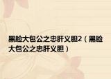 黑脸大包公之忠肝义胆2（黑脸大包公之忠肝义胆）