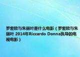 罗密欧与朱丽叶是什么电影（罗密欧与朱丽叶 2014年Riccardo Donna执导的电视电影）