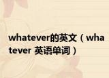 whatever的英文（whatever 英语单词）