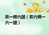 农一师六团（农六师一六一团）