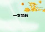 一本曼莉