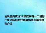 台风最高或达12级或只有一个目标广东马鞍威力好猛具体情况详细内容介绍