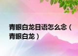 青眼白龙日语怎么念（青眼白龙）