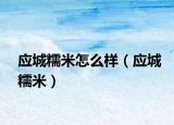 应城糯米怎么样（应城糯米）
