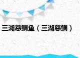 三湖慈鲷鱼（三湖慈鲷）