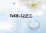 TsKB-12之二