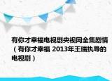 有你才幸福电视剧央视网全集剧情（有你才幸福 2013年王瑞执导的电视剧）