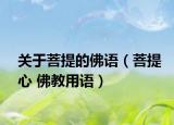 关于菩提的佛语（菩提心 佛教用语）