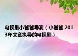 电视剧小爸爸导演（小爸爸 2013年文章执导的电视剧）
