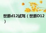 世爵d12试驾（世爵D12）