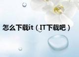 怎么下载it（IT下载吧）