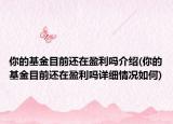 你的基金目前还在盈利吗介绍(你的基金目前还在盈利吗详细情况如何)