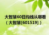 大智慧60日均线从哪看（大智慧[601519]）