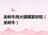 关岭牛肉火锅哪家好吃（关岭牛）