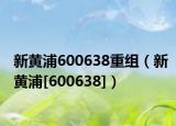 新黄浦600638重组（新黄浦[600638]）