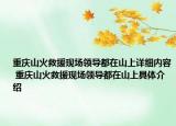 重庆山火救援现场领导都在山上详细内容 重庆山火救援现场领导都在山上具体介绍