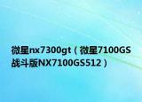 微星nx7300gt（微星7100GS战斗版NX7100GS512）