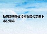 陕西盛唐传媒投资有限公司是上市公司吗