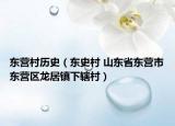 东营村历史（东史村 山东省东营市东营区龙居镇下辖村）