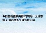 今日最新更新内容 花呗为什么给冻结了 被冻结多久能恢复正常