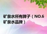 矿泉水所有牌子（NO.6 矿泉水品牌）