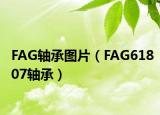 FAG轴承图片（FAG61807轴承）