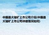 中国最大铀矿上市公司介绍(中国最大铀矿上市公司详细情况如何)