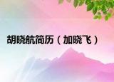 胡晓航简历（加晓飞）