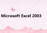 Microsoft Excel 2003