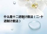 什么是十二进制计数法（二-十进制计数法）