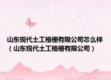 山东现代土工格栅有限公司怎么样（山东现代土工格栅有限公司）