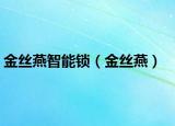 金丝燕智能锁（金丝燕）