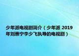 少年派电视剧简介（少年派 2019年刘惠宁李少飞执导的电视剧）