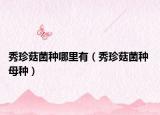 秀珍菇菌种哪里有（秀珍菇菌种 母种）